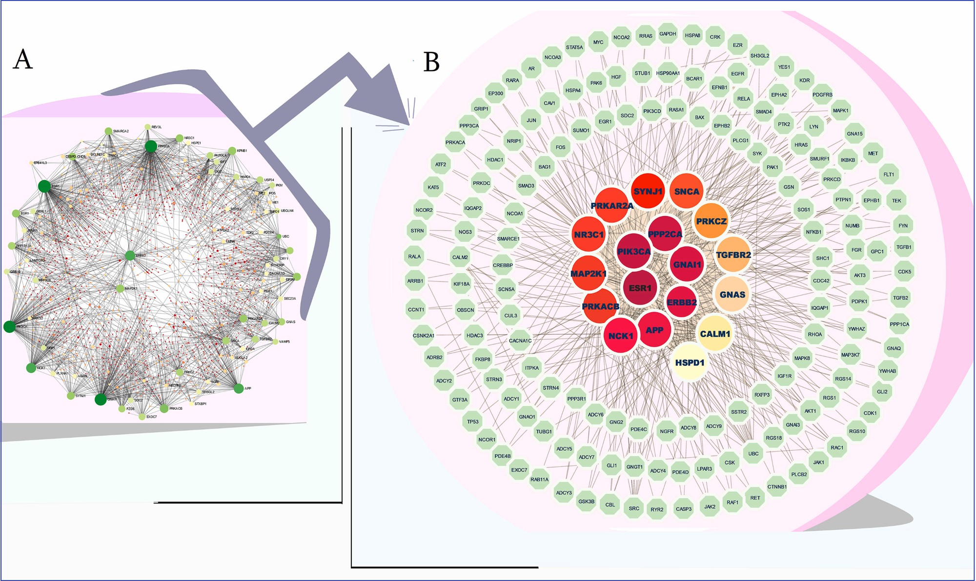 Network Analysis
